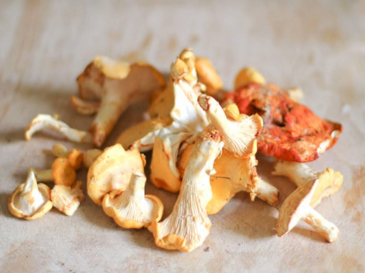 What wild mushrooms should not be frozen because they will become bitter: expert explains