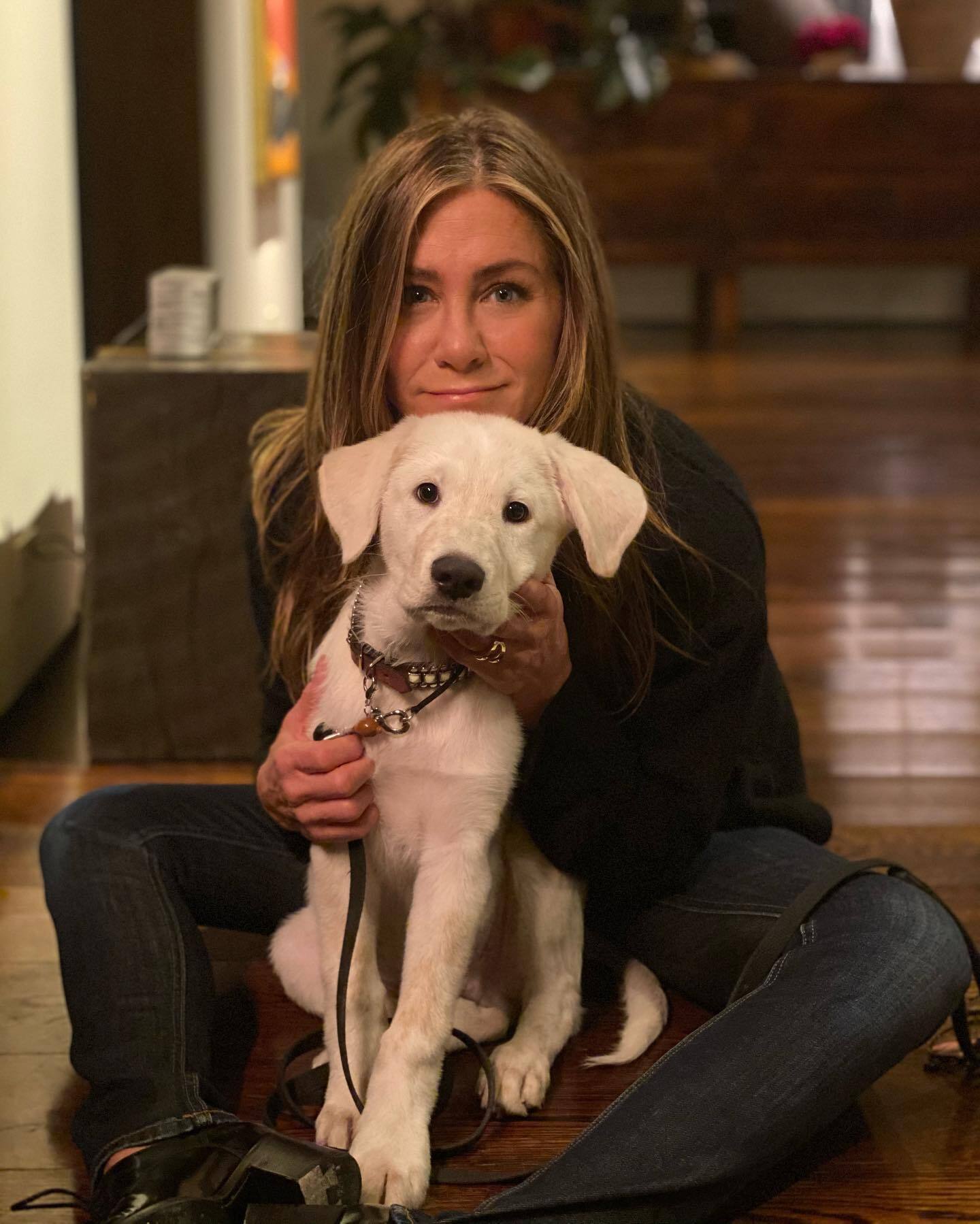 Like the owners: photos of stars and their four-legged pets that will make you smile