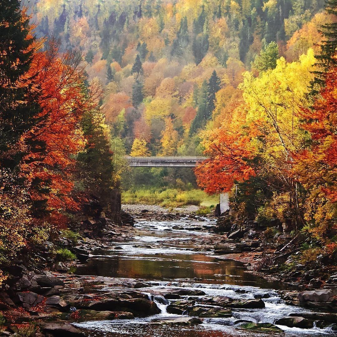 Cozy autumn retreat in the Carpathians: where to stay 