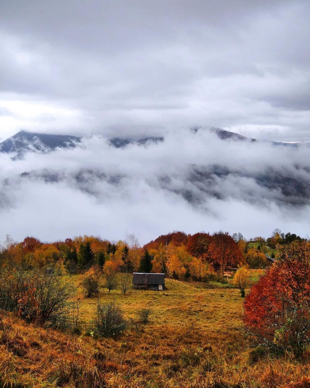 Cozy autumn retreat in the Carpathians: where to stay 