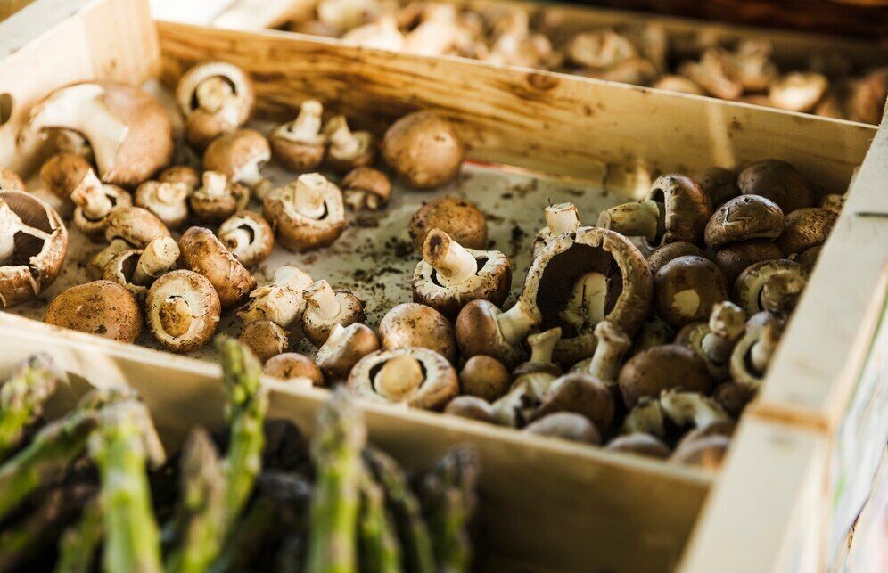 Never dry mushrooms like this: they will definitely be spoiled