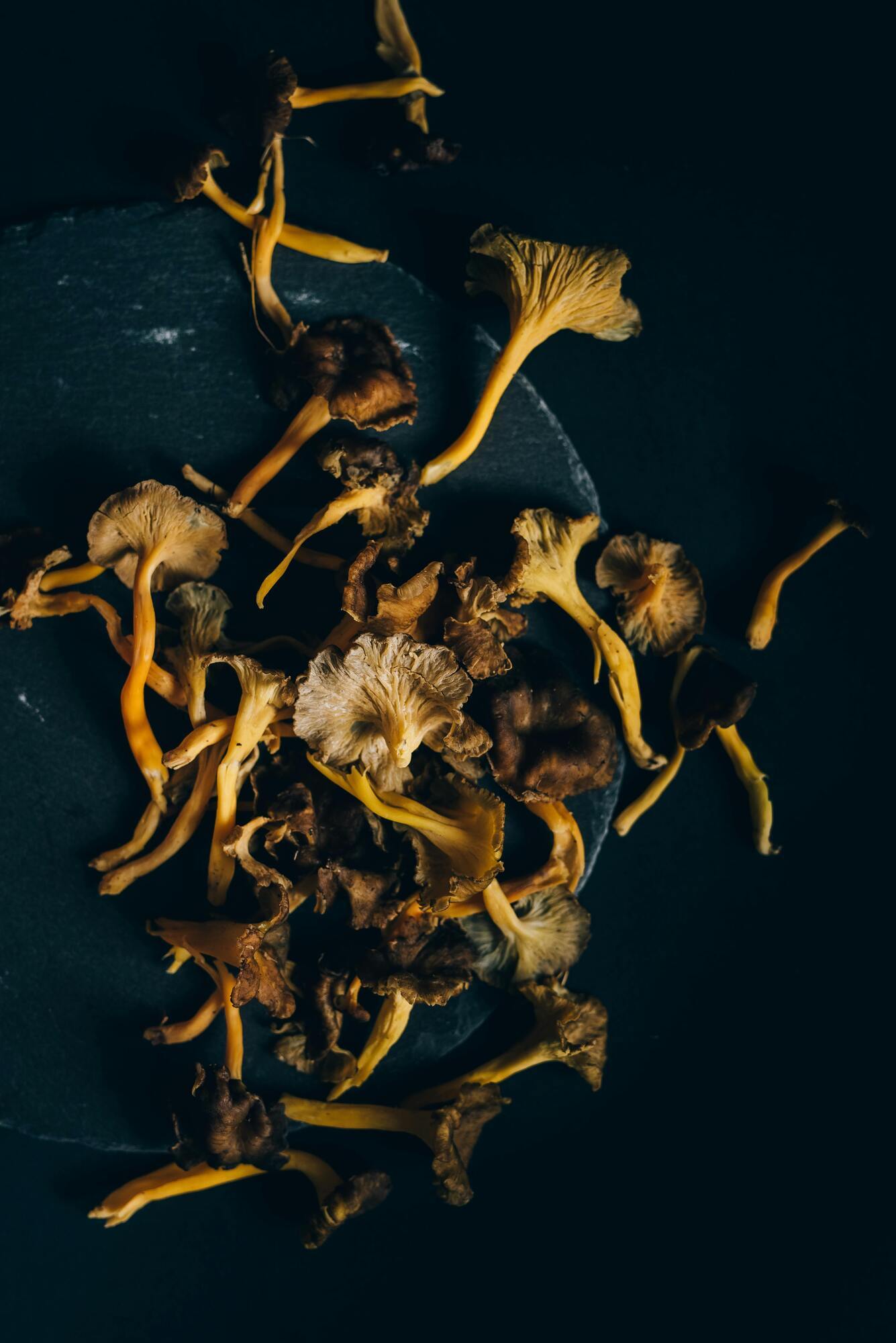 How to dry mushrooms at home: the most common methods