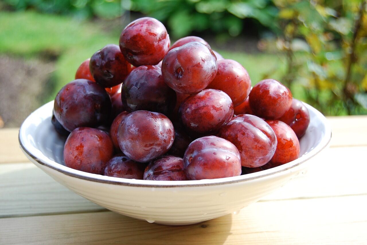 The simplest but delicious plum pie: what to add to the dough to make it melt in your mouth