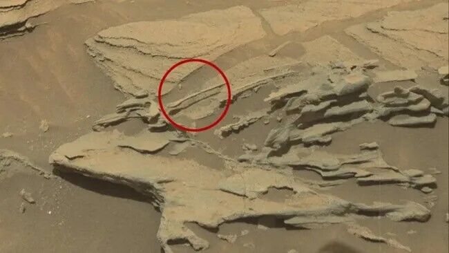 A bear's face, a spoon, and thousands of black spiders. Top 10 strange things on Mars that have confused scientists