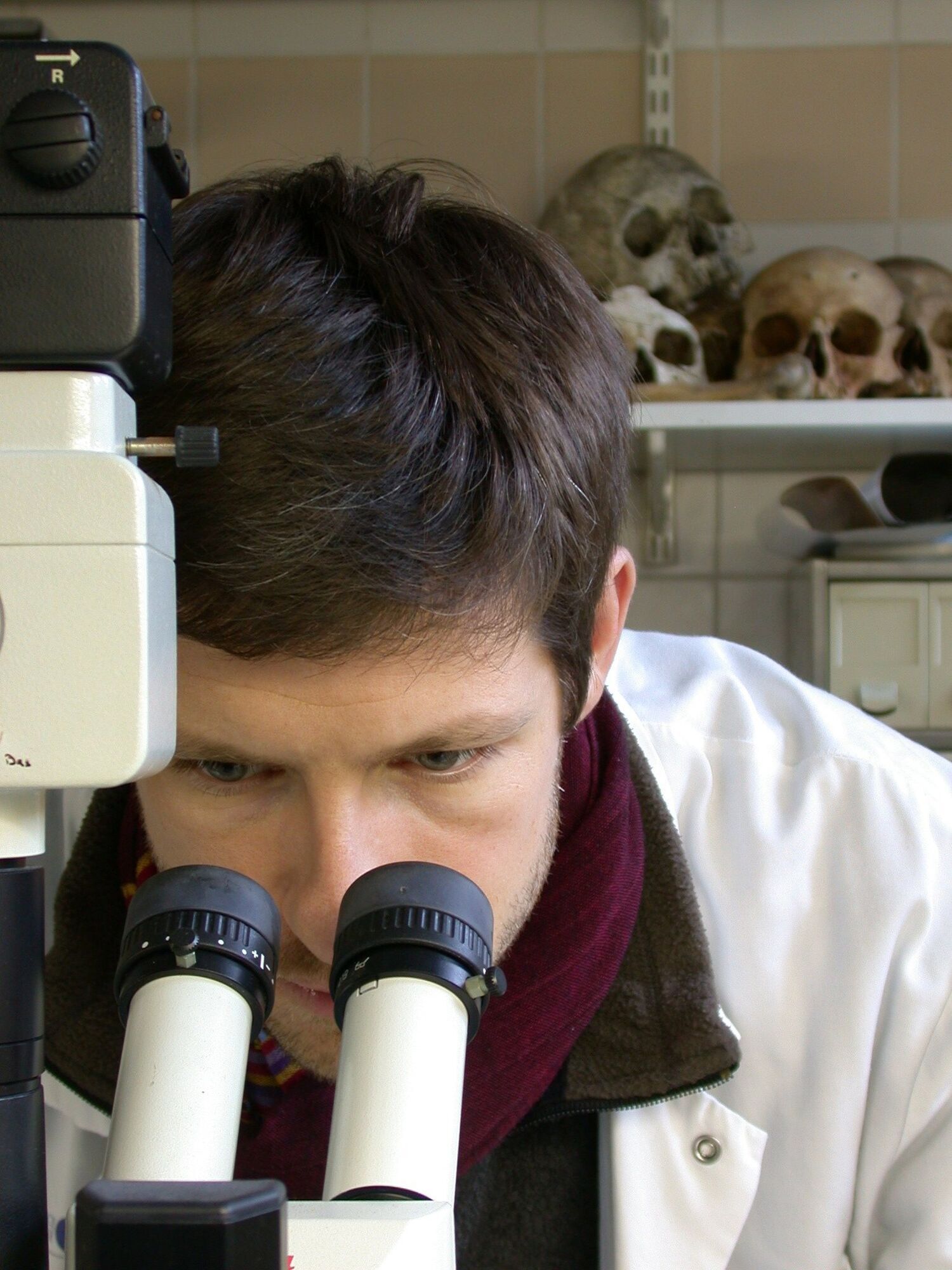 The Empire of Death. Researchers have come close to unraveling the secret of the catacombs of Paris, where the remains of more than 6 million people are kept