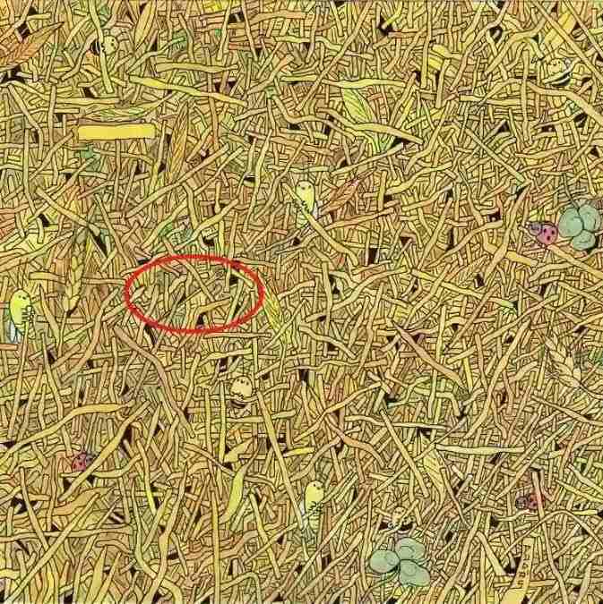 Find a needle in a haystack: a quick mindfulness puzzle