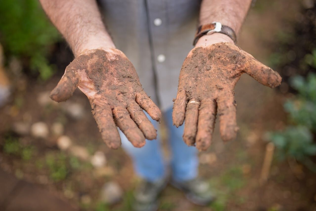 Why people disinfect the soil after harvest: methods of treatment