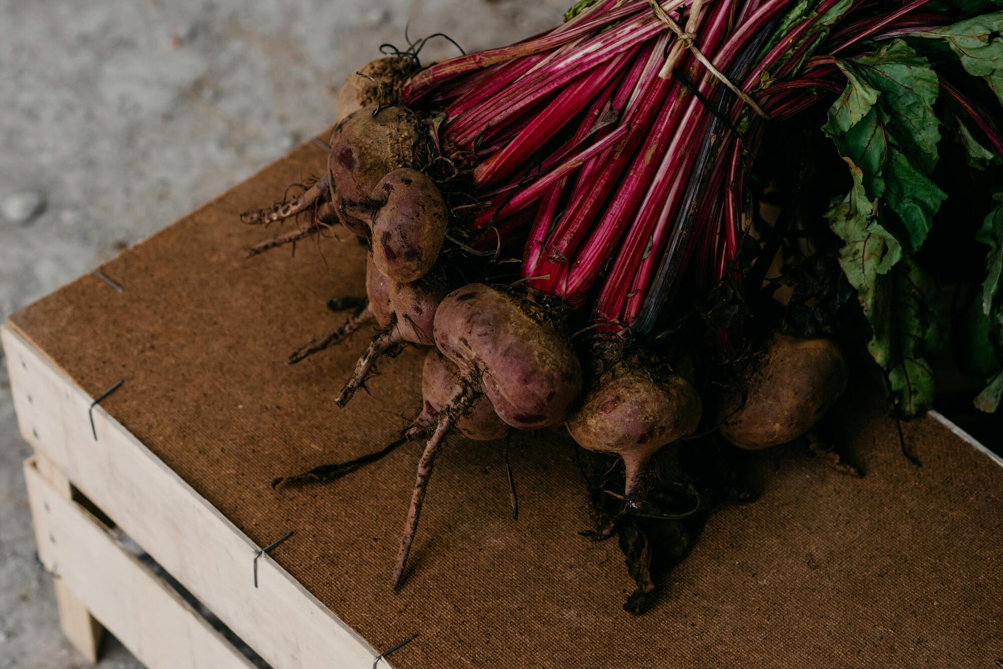 What to sow before winter: a complete list of vegetables and herbs