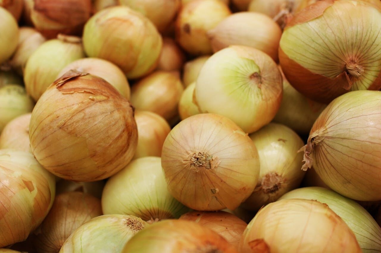 How to store onions so they don't rot: the best ways