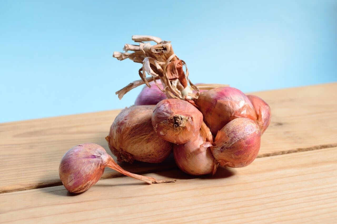 How to store onions so they don't rot: the best ways