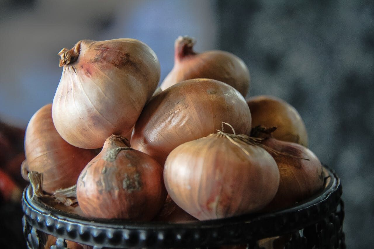 How to store onions so they don't rot: the best ways