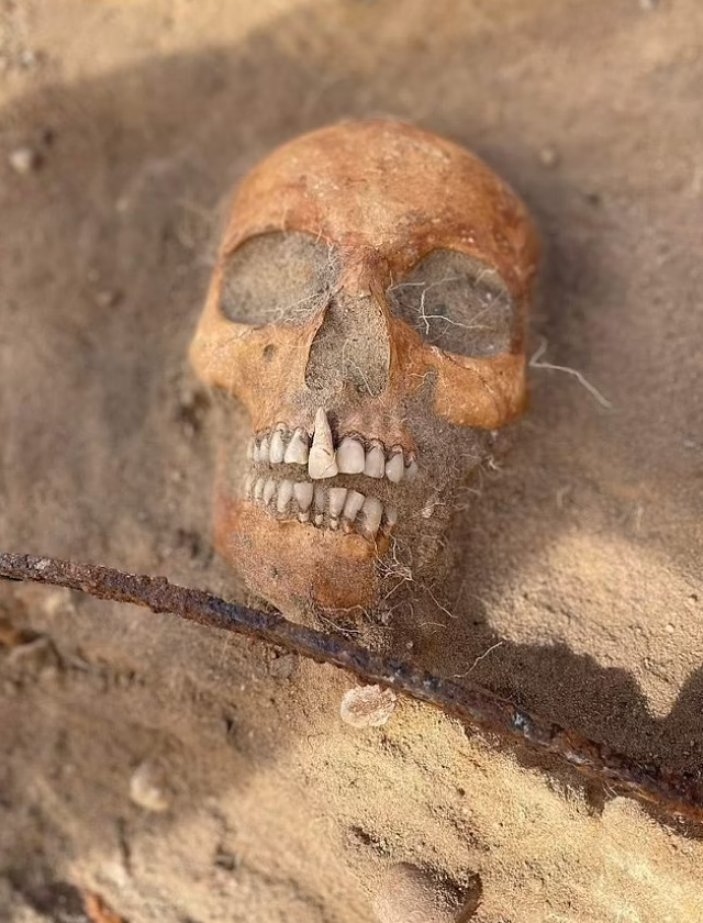 Scientists have shown the face of 18-year-old ''vampire'' Zosia, who lived in Poland 350 years ago: her skeleton was found with a sickle around her neck and a lock on her leg