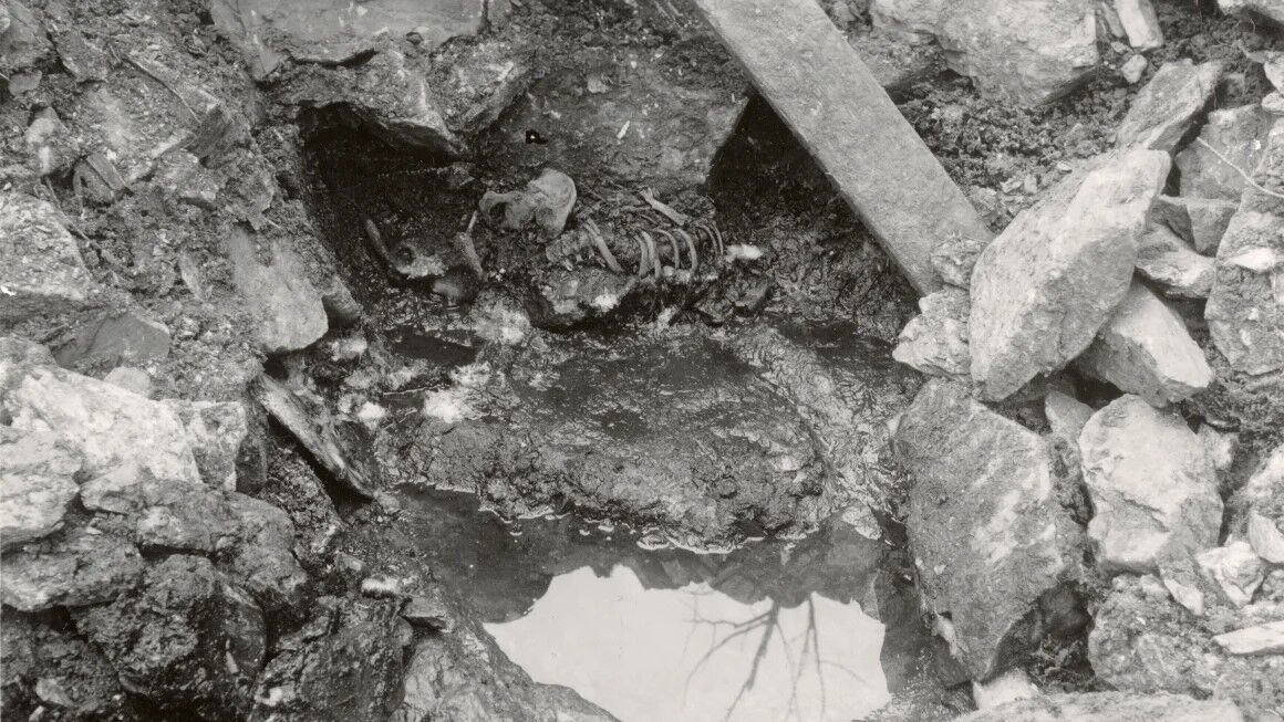 Skeletal remains of an 800-year-old warrior found in Norway: what is known about the ''well man''. Photo