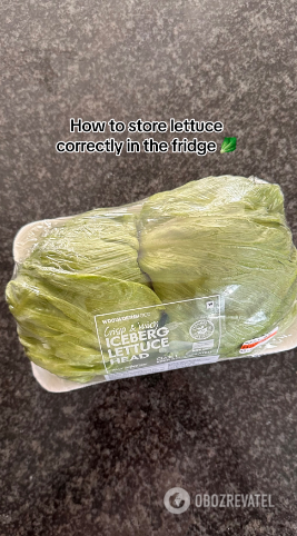 How to keep salad leaves fresh for as long as possible: a simple life hack