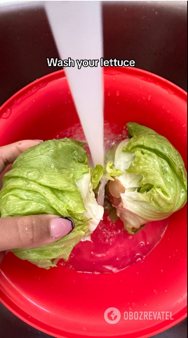 How to keep salad leaves fresh for as long as possible: a simple life hack