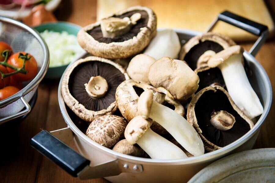 Never store mushrooms like this: the main mistakes housewives make