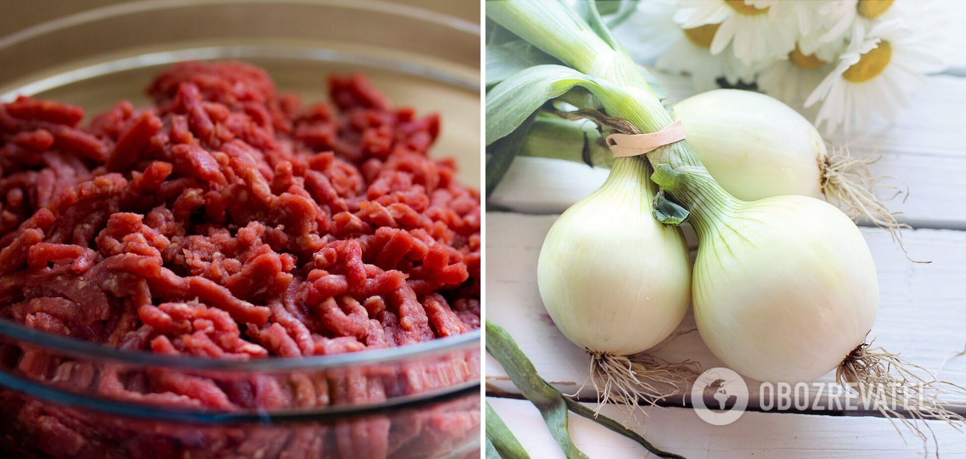 Onions and minced meat for the dish