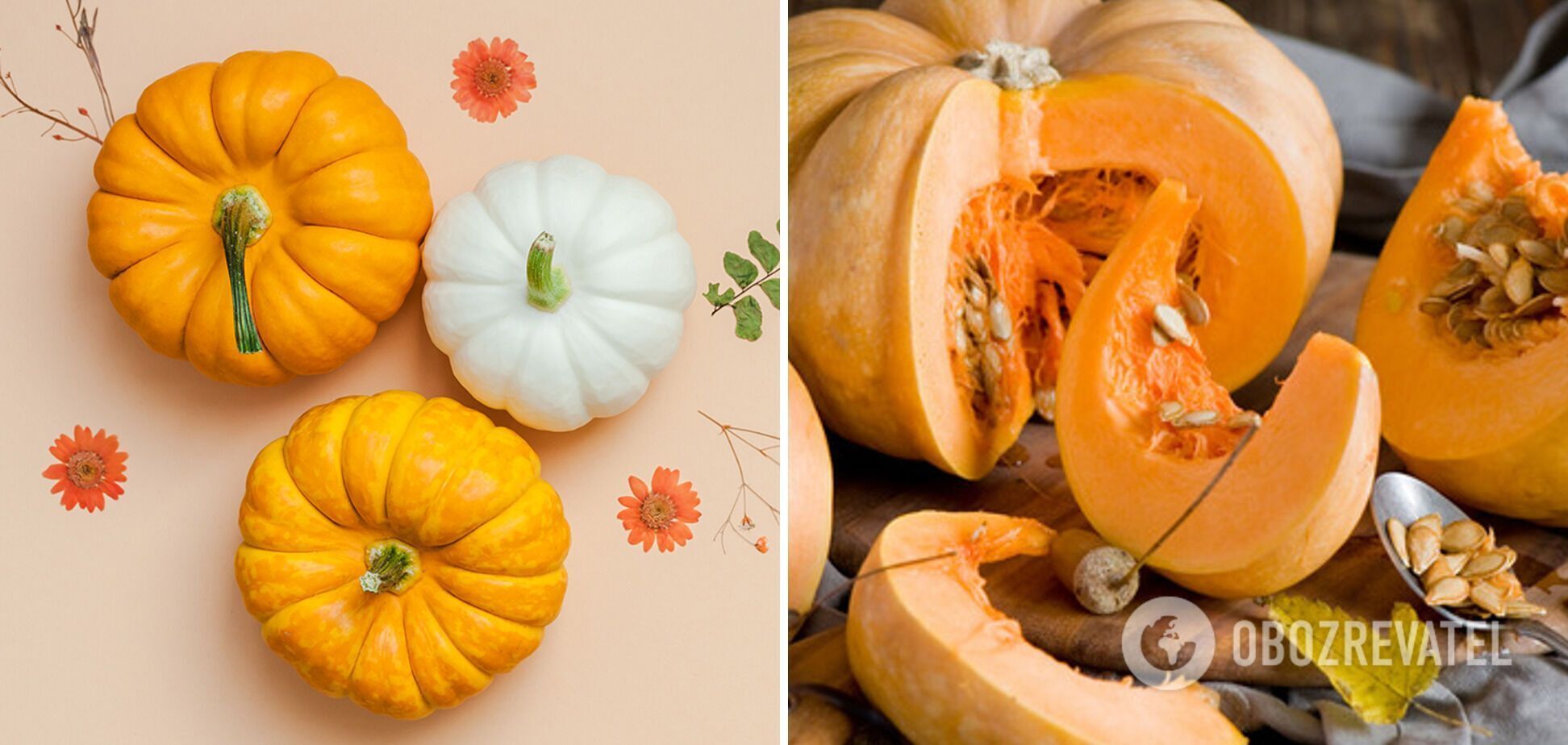 What to cook from pumpkin