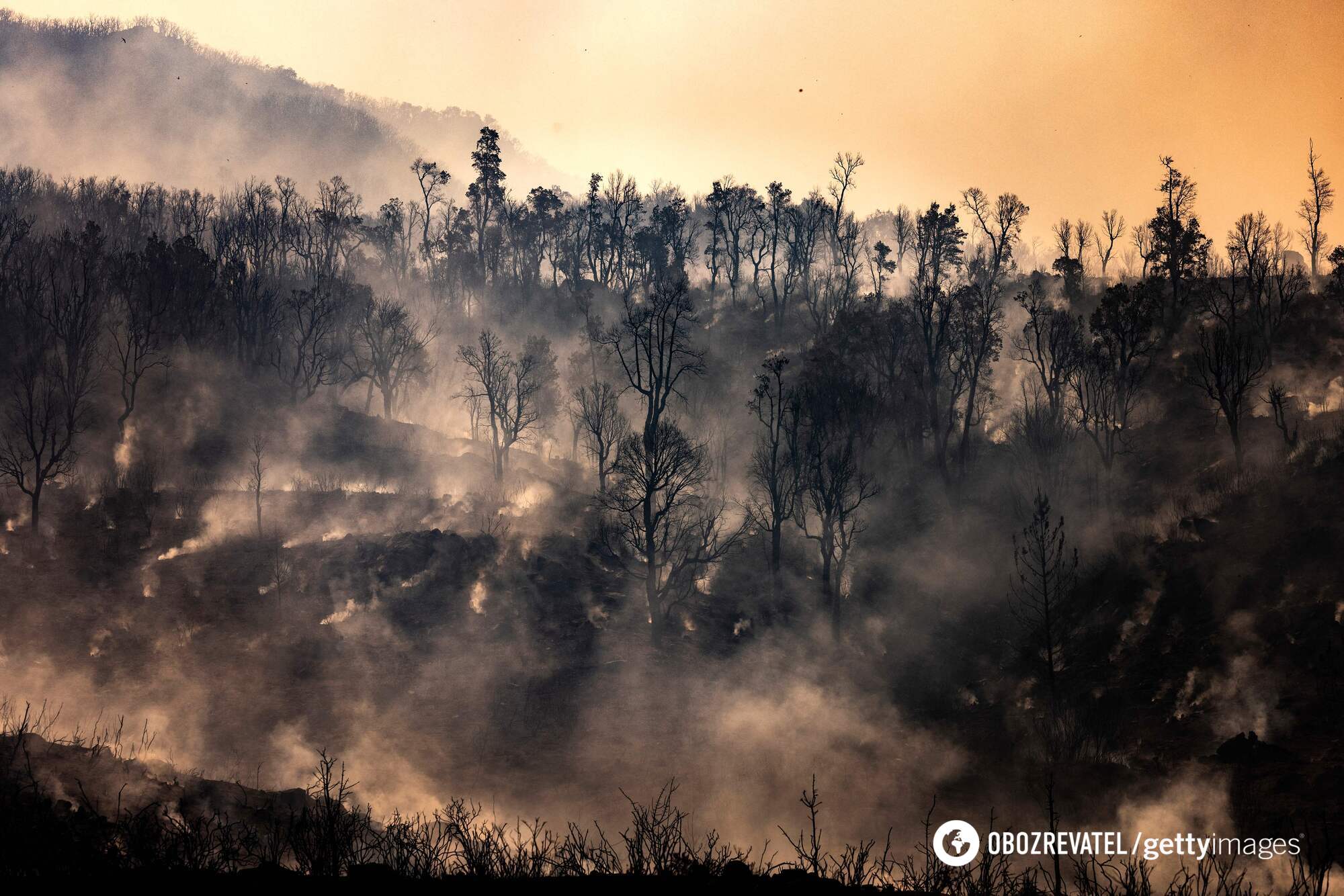 ONZ wzywa kraje do ograniczenia emisji o połowę ze względu na zagrożenie katastrofą klimatyczną: balansujemy na linie