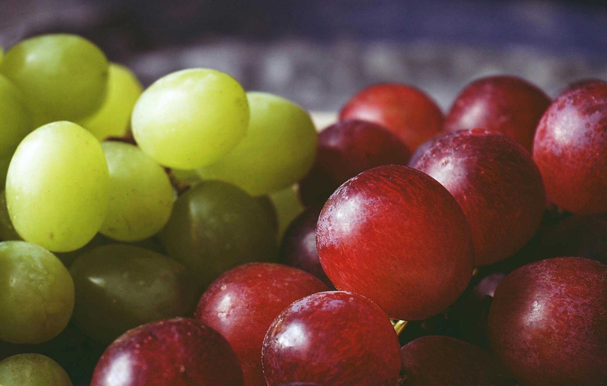 How to store grapes properly to keep them fresh for more than 3 weeks: effective tips