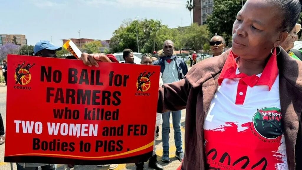 In South Africa, white farmers accused of feeding pigs with murdered black women: what's going on