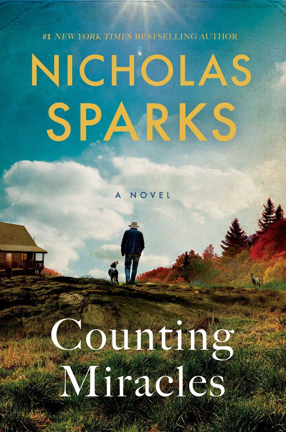 Another book by Nicholas Sparks will get a movie adaptation: who will play the main role