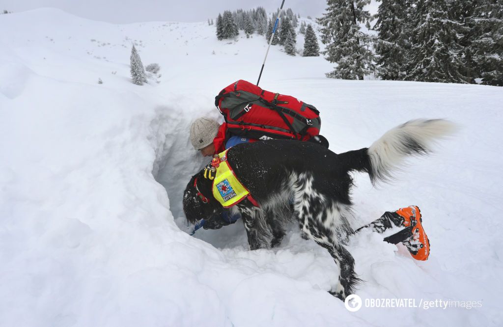 Scientists explain why more people survive under avalanches compared to a decade ago