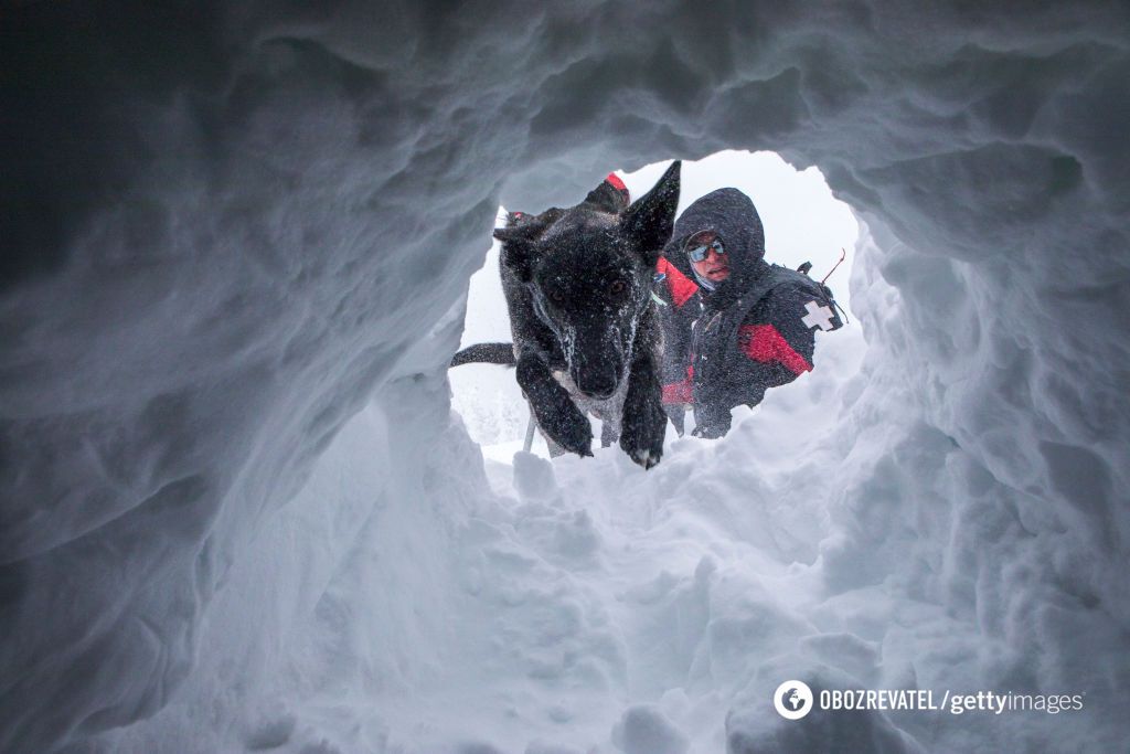 Scientists explain why more people survive under avalanches compared to a decade ago