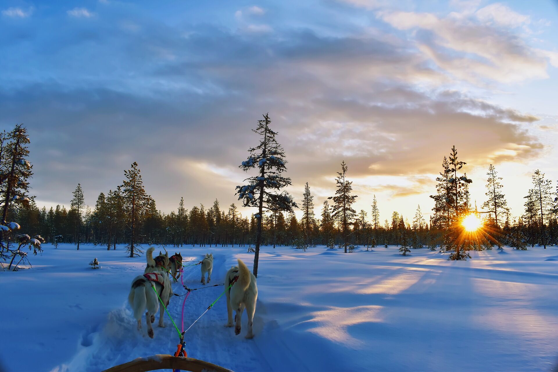 Finland boasts a high standard of living.