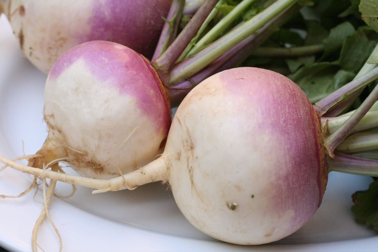 What is turnips and how to grow this unusual root vegetable at home