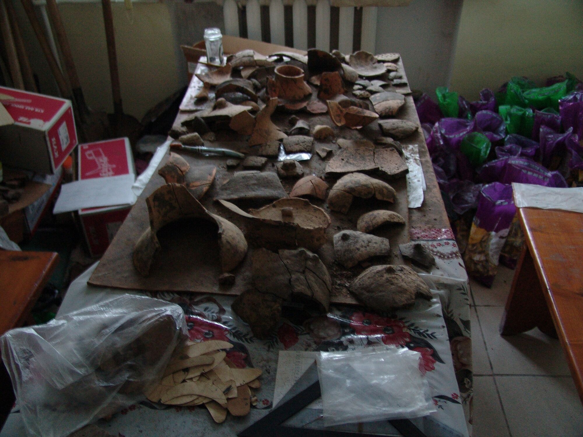 In a village in the Ivano-Frankivsk region, dishes from the Trypillian culture were found. Photo