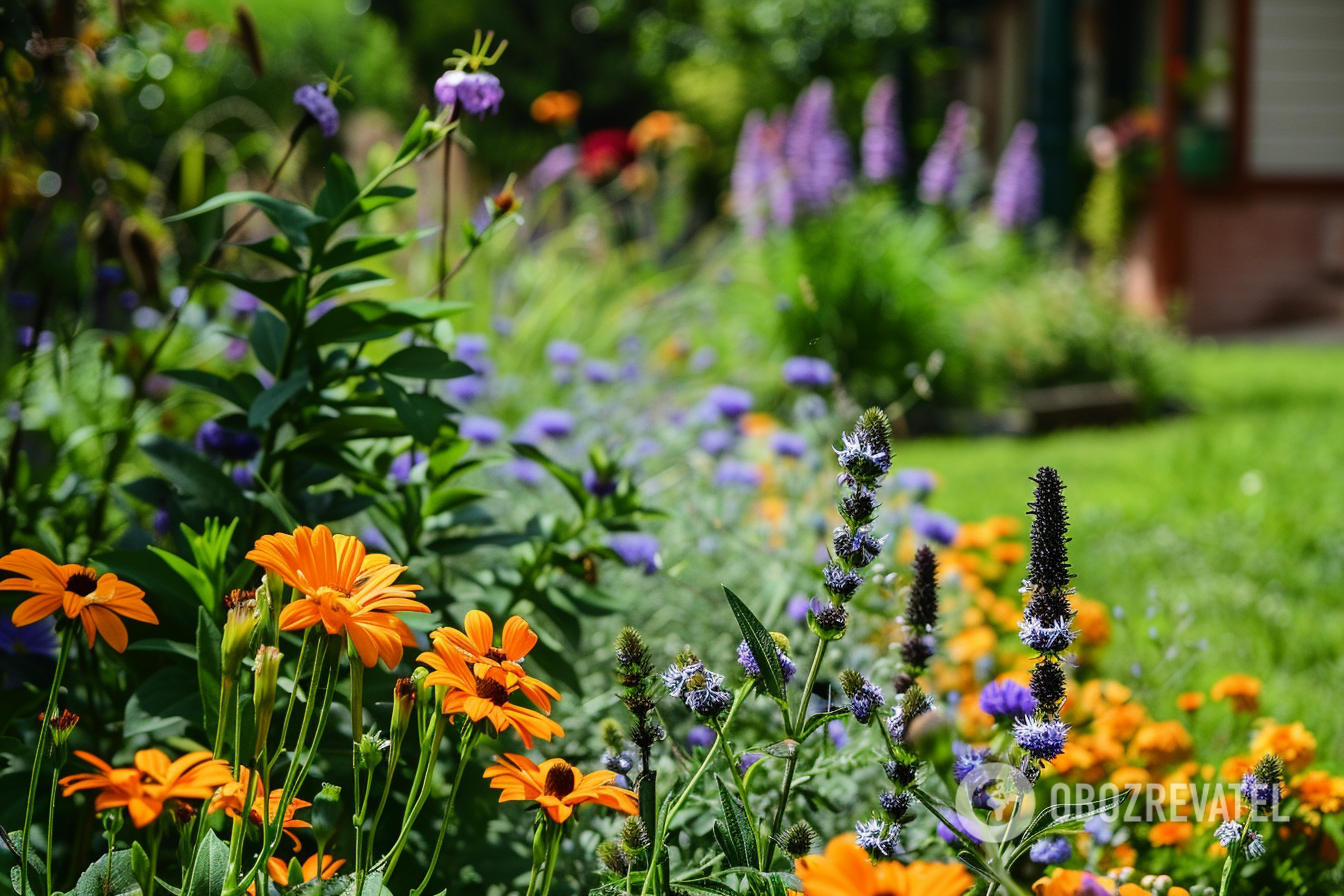 What flowers to plant together to have a bright bed: the best options