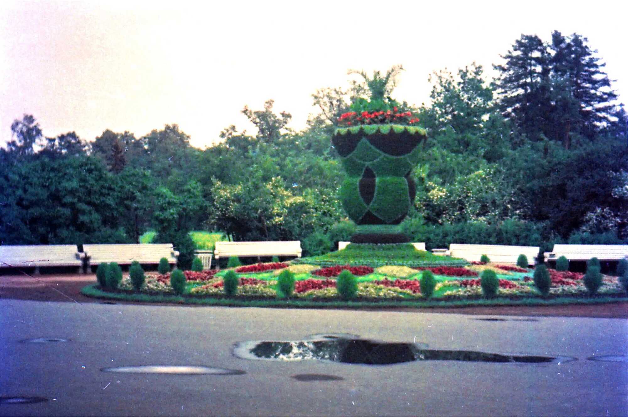 Lots of trees and flowers: the web shows how Kyiv was landscaped in 1956. Archival photos
