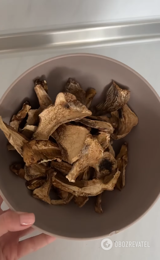 The most delicious dried mushroom soup: how to cook