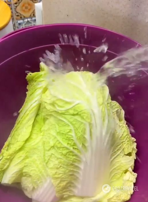 What cabbage can be used to quickly cook cabbage rolls: they turn out to be very juicy