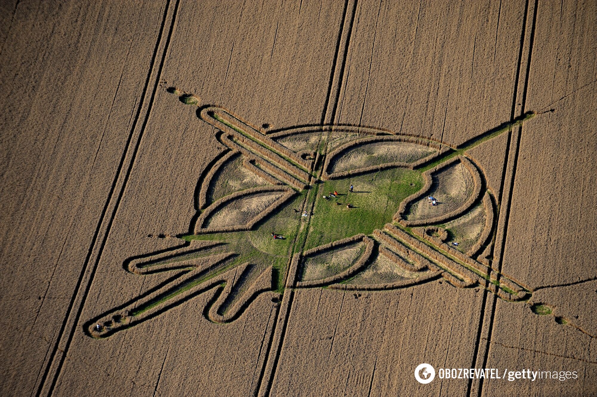 Crop circles in England in August 2009.