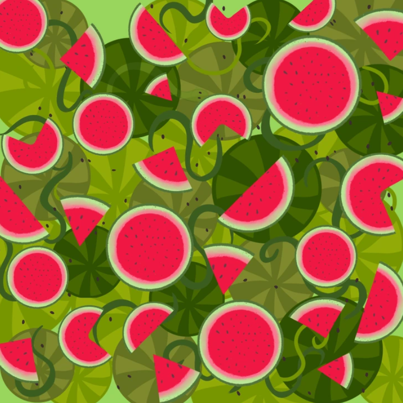 Only people with perfect eyesight will spot the snake among watermelons: test yourself