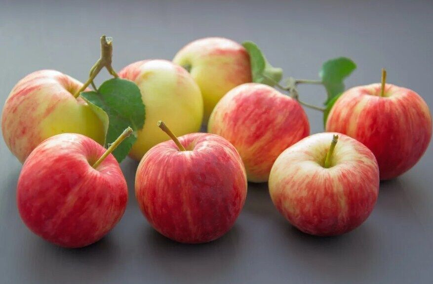 Healthy apples