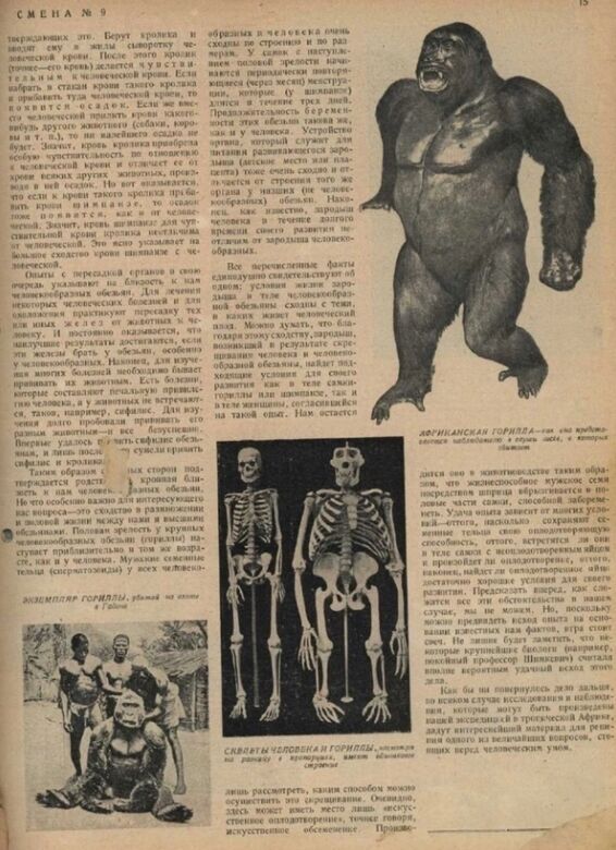 98 years ago, a Soviet scientist tried to crossbreed a man and an ape: how the gruesome experiment ended