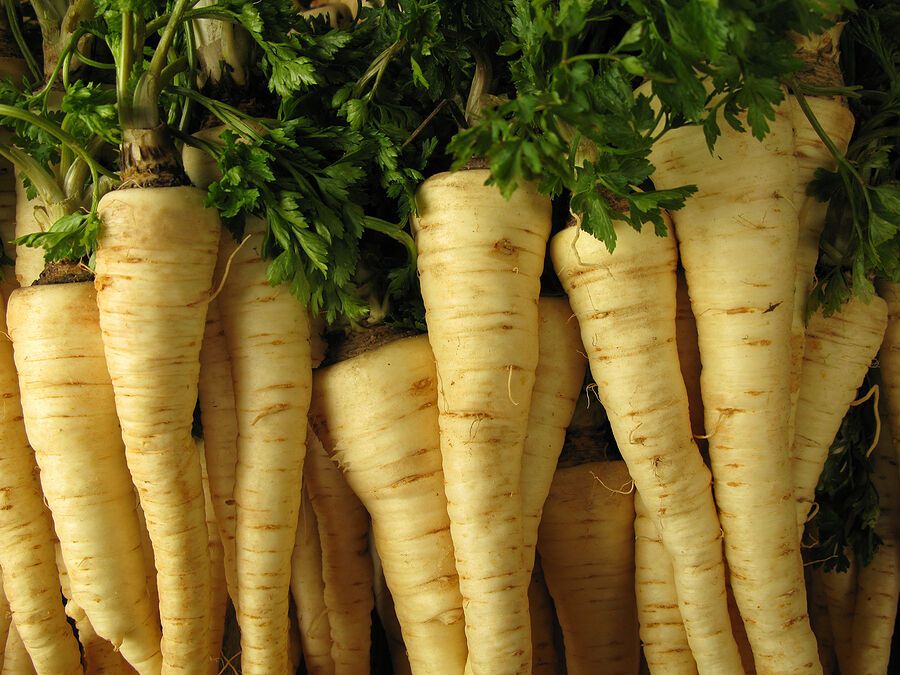 Why add horseradish and parsley to canned food - a scientist answers