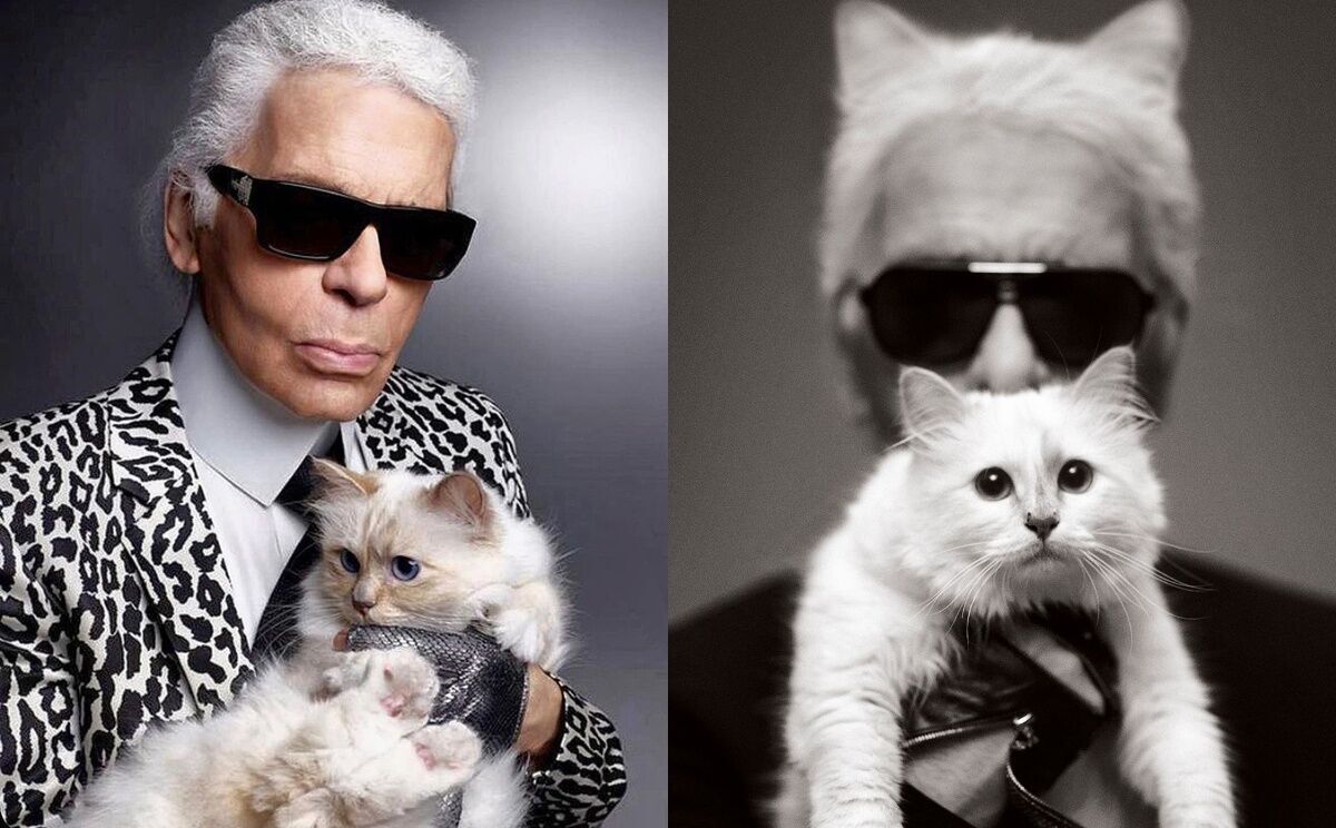 His lover died of AIDS, and he wanted to marry a cat. 7 interesting facts about the fashion legend Karl Lagerfeld