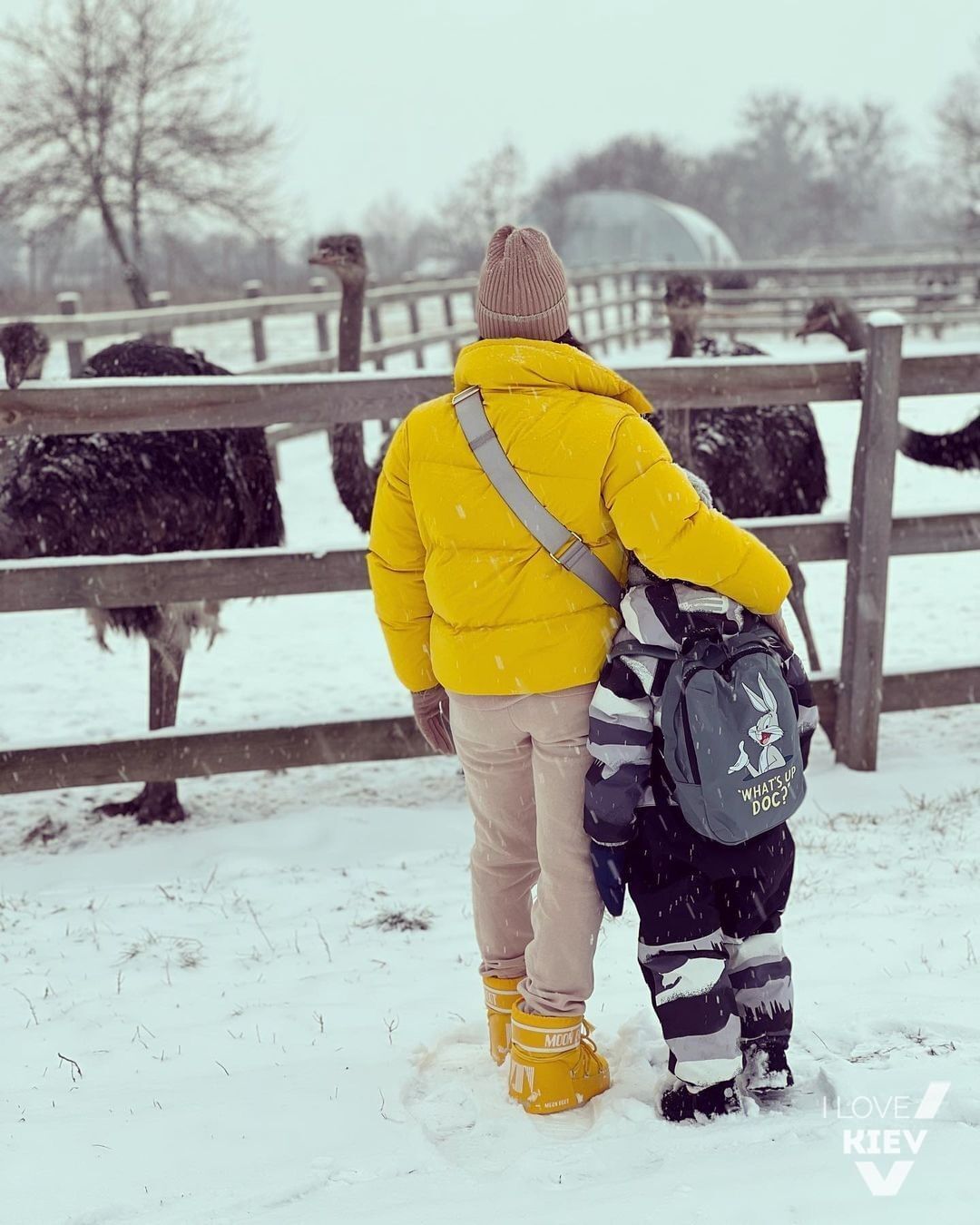 Ostriches, donkeys, and bears: a trip to unusual farms in Ukraine that work in winter