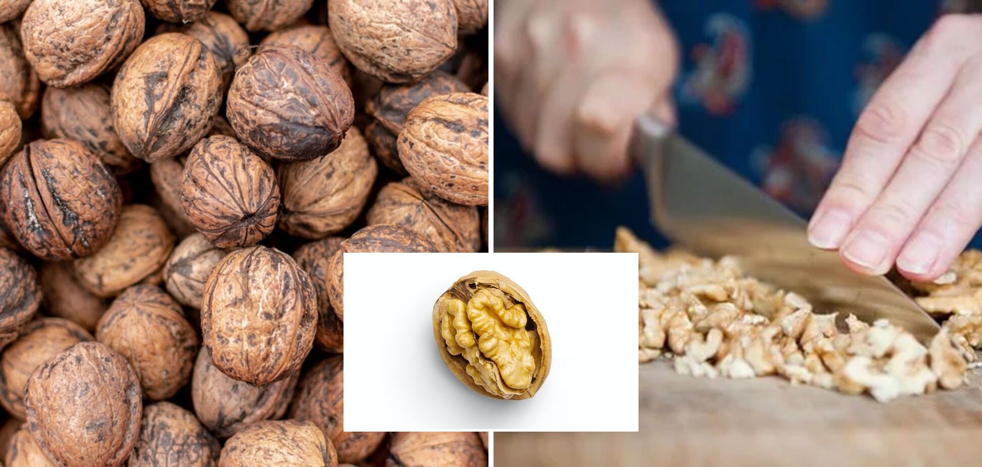 Nut consumption can reduce age-related diseases