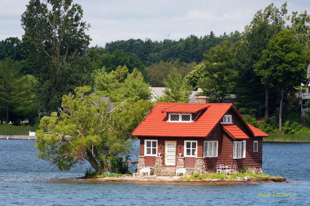 What the smallest inhabited island in the world looks like: there is a tree, two bushes and a house. Photo