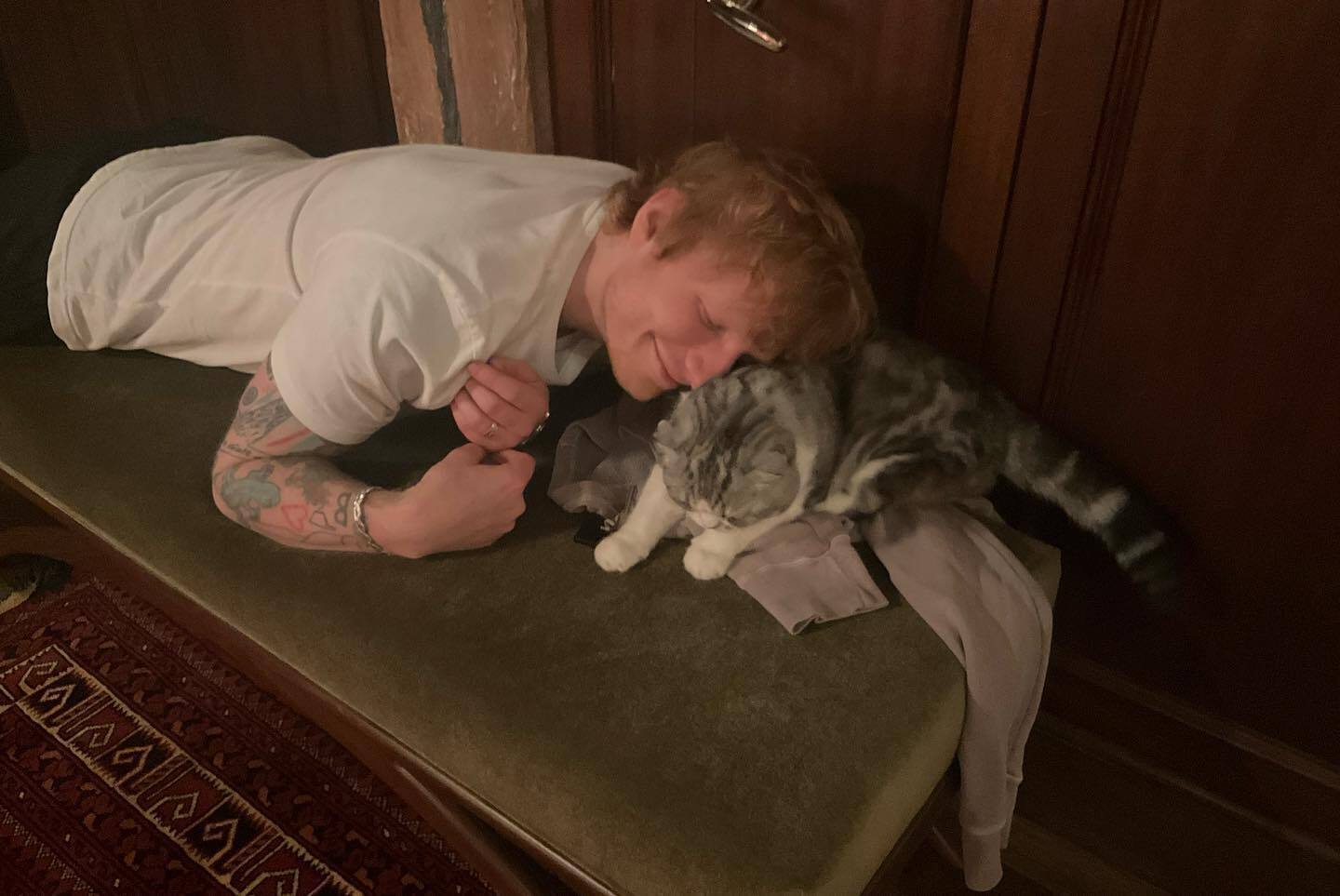 Ed Sheeran returned to the Cat Cafe after 10 years to impress the cats with a song, but failed again. Funny video