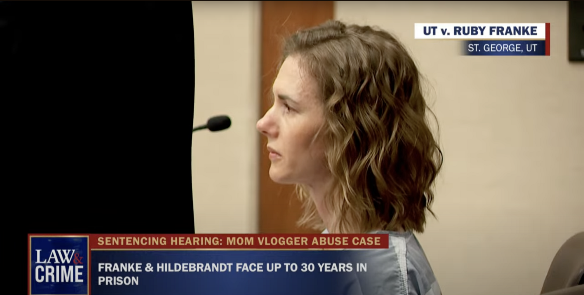 A millionaire blogger from the United States who gave advice on raising children turned out to be a sadist. She could be imprisoned for up to 30 years