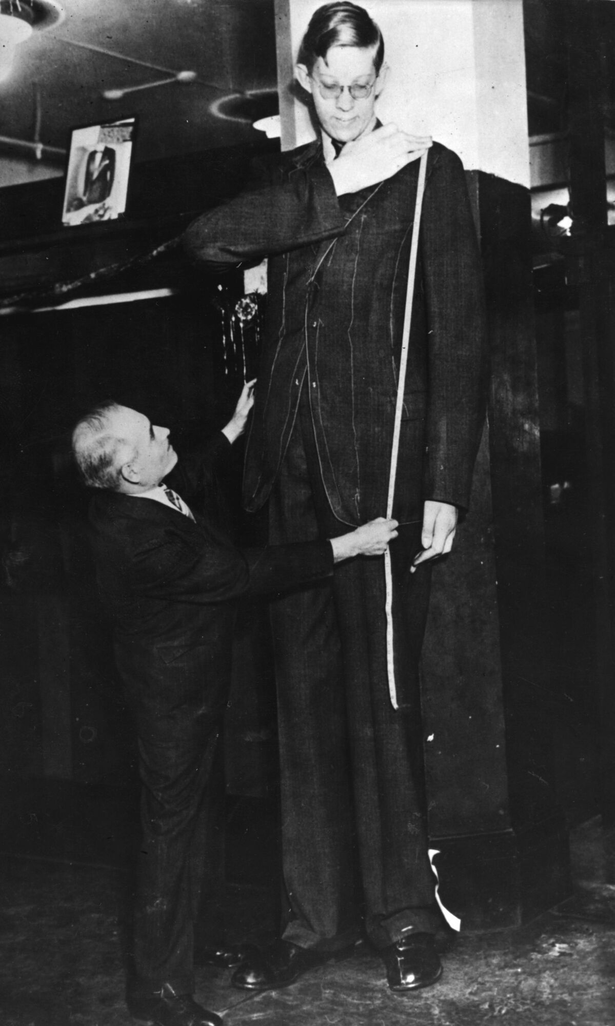 What did the world's tallest man at 272 cm look like and why did Robert Wadlow live so short a life? Photos and videos