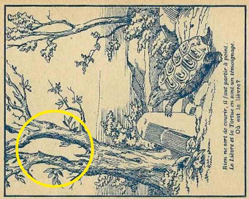 Quickly find the rabbit: an optical illusion that can break your brain