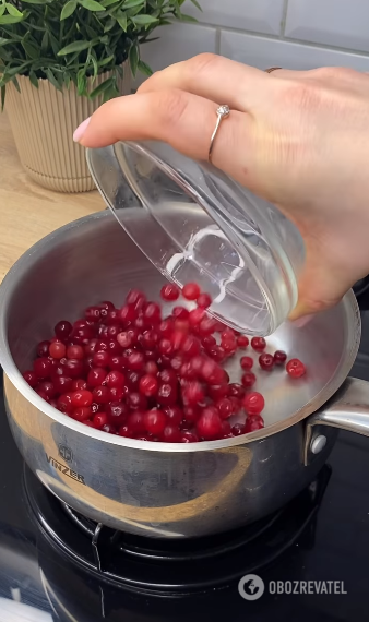 How to make homemade cranberry sauce: for meat, poultry and cheese