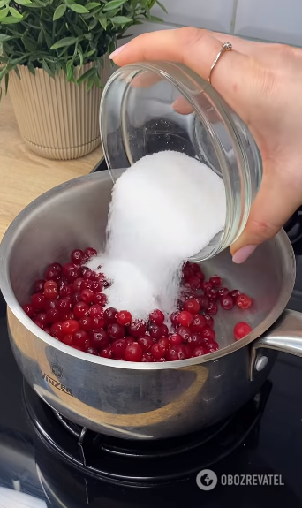 How to make homemade cranberry sauce: for meat, poultry and cheese